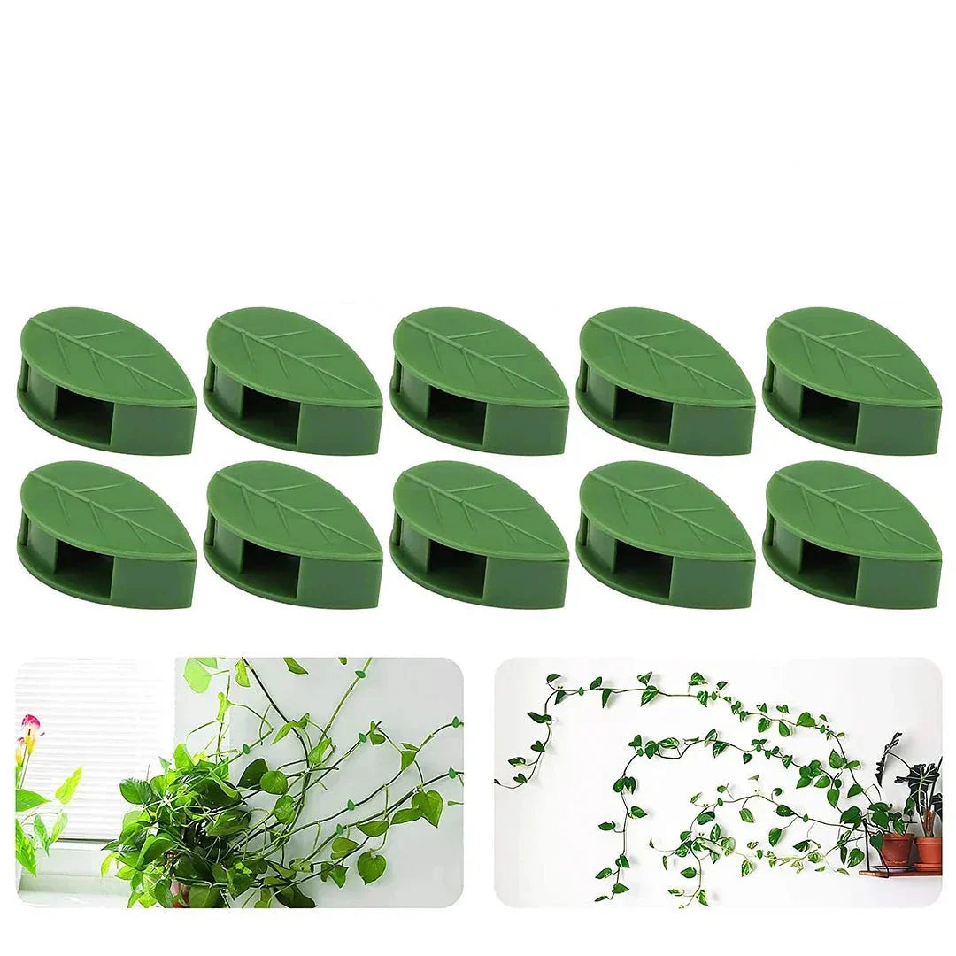 Clips Fixateurs de Plantes : L'Accessoire Indispensable pour Votre Jardin