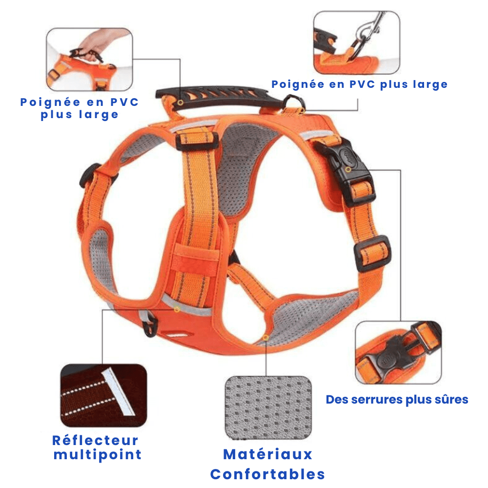 Harnais Anti Traction Réfléchissant & Confortable : Le Compagnon Idéal pour les Promenades