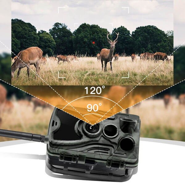 Caméra de chasse 4G - Vision nocturne - Détection mouvement - Photographie wildlife