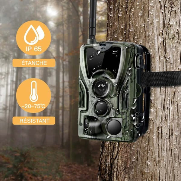 Caméra de chasse 4G - Vision nocturne - Détection mouvement - Photographie wildlife