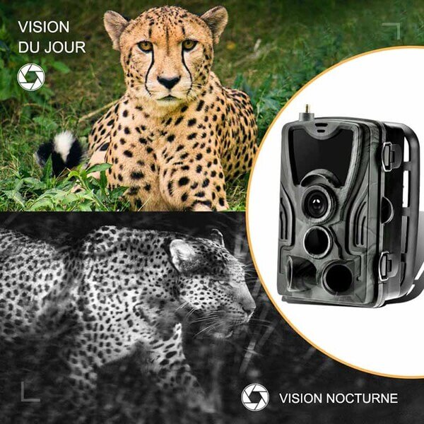 Caméra de chasse 4G - Vision nocturne - Détection mouvement - Photographie wildlife