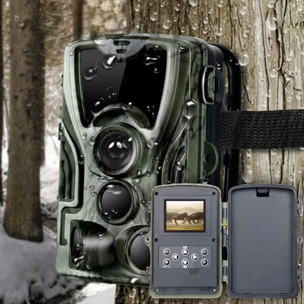 Caméra de chasse HD avec écran Natrusion - caméra, résolution Full HD, vision nocturne, capteur de mouvement