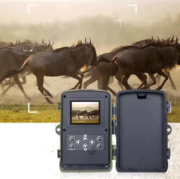 Caméra de chasse HD avec écran Natrusion - Port SIM intégré, résolution Full HD, vision nocturne, capteur de mouvement
