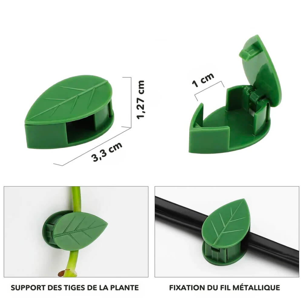 Fixateurs de Plantes - Installation Facile pour Jardinage Intérieur