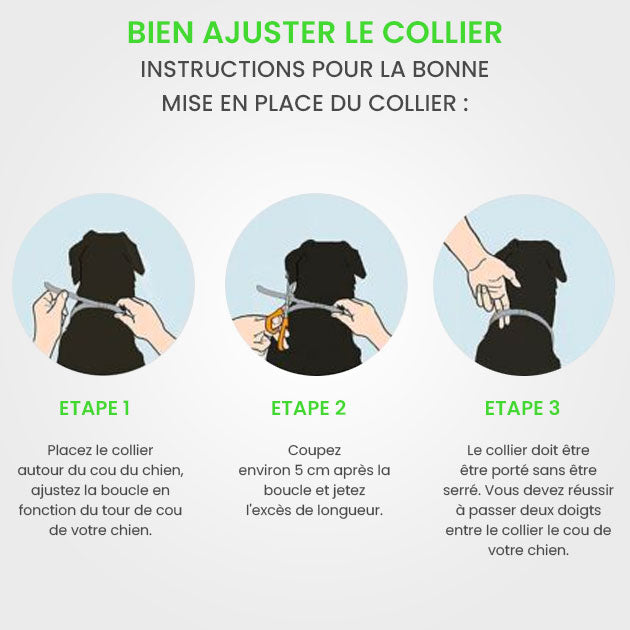 Formulé avec des huiles essentielles pour une efficacité maximale travel bott