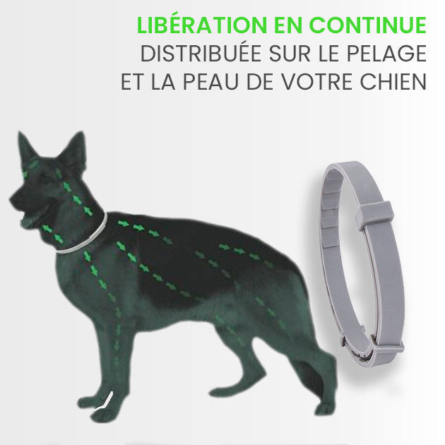 Protège contre les puces et les tiques en toute sécurité travel bottle leak-p