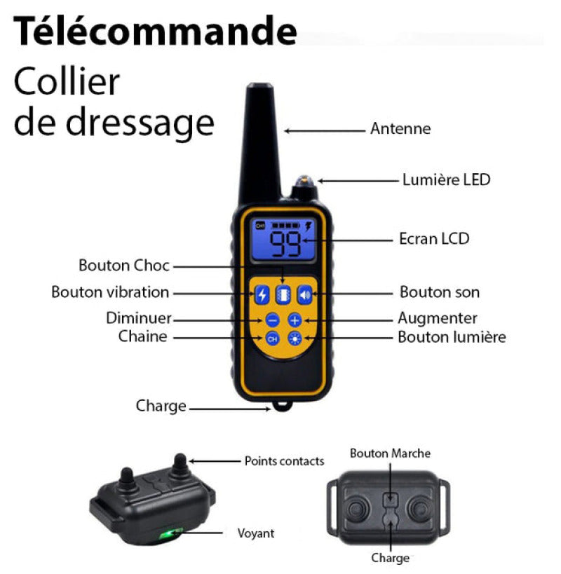 Collier de Dressage Anti-aboiement Etanche Rechargeable pour Chien - Chargeur Bidirectionnel