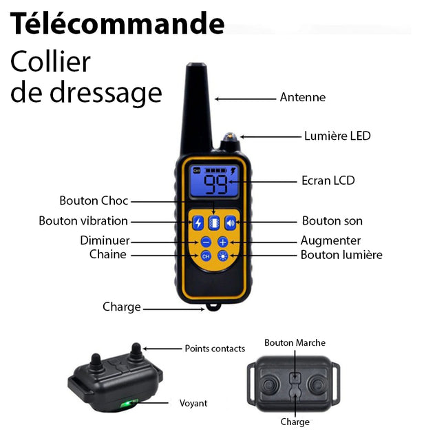 Collier de Dressage Anti-aboiement Etanche Rechargeable pour Chien - Chargeur Bidirectionnel