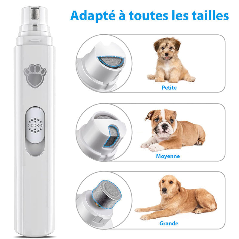 Coupe-Ongles Électrique Professionnel - Moteur Silencieux et Recharge USB tra