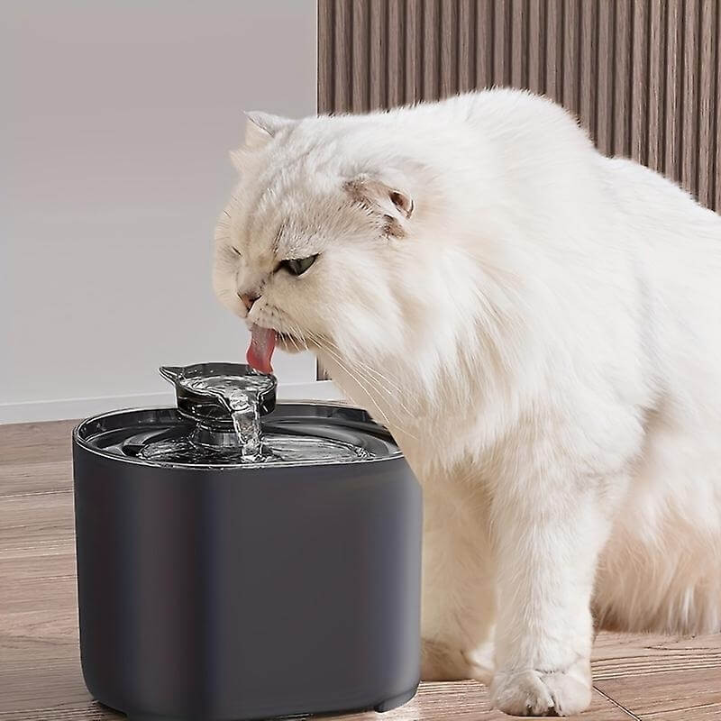 Fontaine à Eau pour Chat avec Filtre Eauflow - Noir, Idéal pour les Chats Actifs