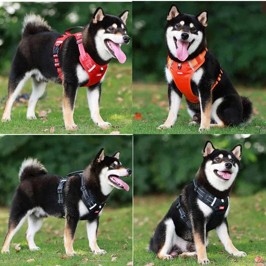 Harnais Anti Traction Réfléchissant & Confortable pour Chiens - Sécurité Nocturne