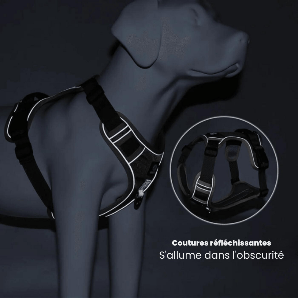 Harnais Anti-Traction pour Chiens - Accessoire Confort Chien Balade Agréable