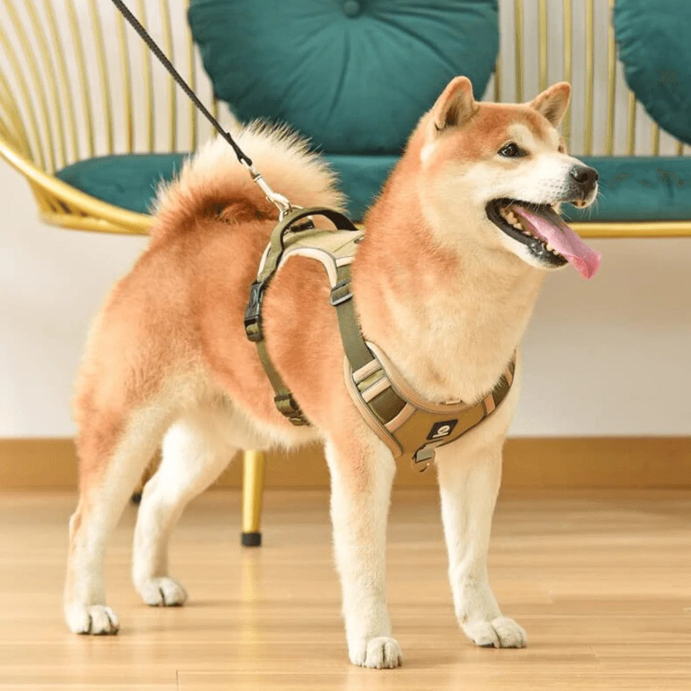 Harnais Anti-Traction pour Chiens Kaki - Guide des Tailles et Promenade Agréable