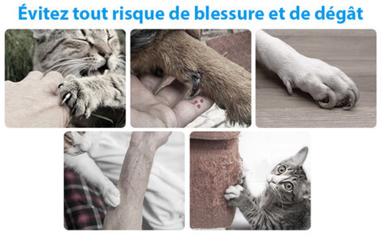 Coupe-ongles électrique de qualité pour animaux, rechargeable, silencieux, avec deux vitesses et design confort.