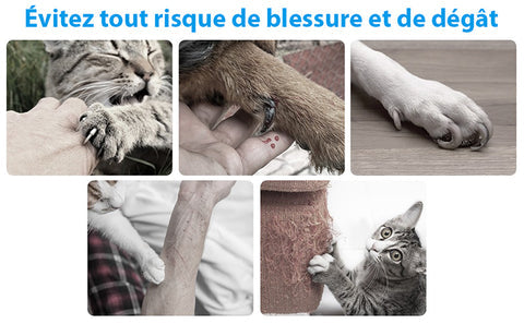 Coupe-ongles électrique de qualité pour animaux, rechargeable, silencieux, avec deux vitesses et design ergonomique.