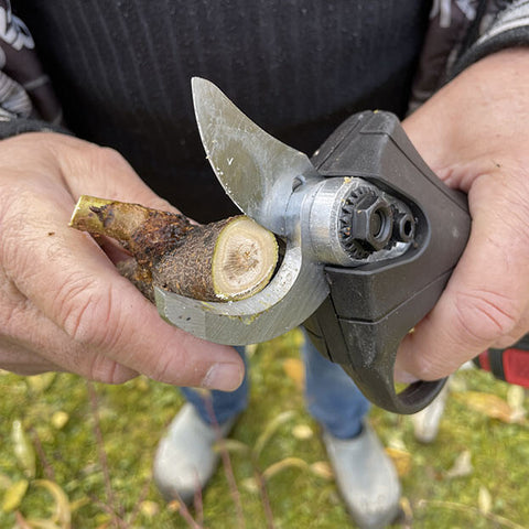 Sécateur électrique sans fil de qualité, léger et ergonomique, idéal pour couper des branches jusqu