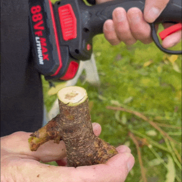 Sécateur électrique sans fil de qualité, puissant et ergonomique, idéal pour couper branches jusqu
