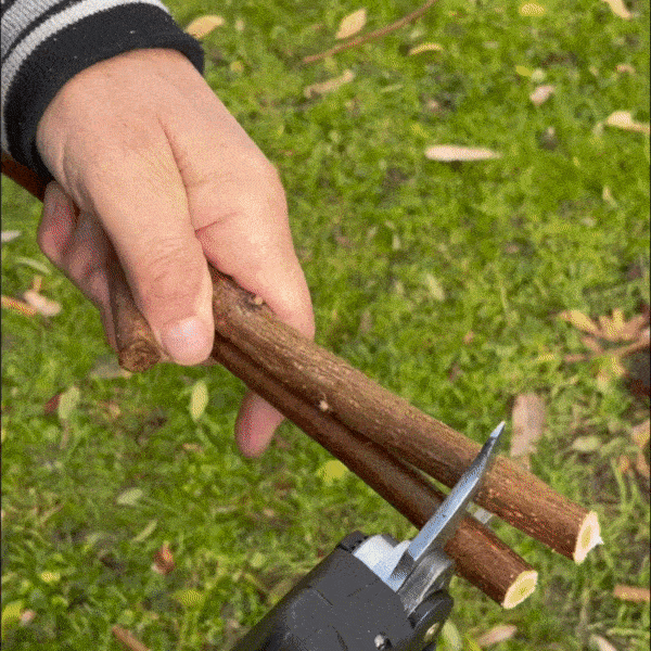 Sécateur électrique sans fil de qualité, puissant et ergonomique, idéal pour couper branches jusqu