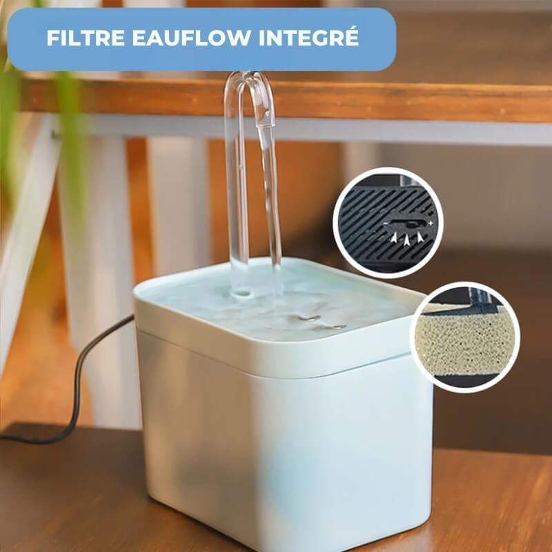 Fontaine à Eau pour Chat avec Filtre Eauflow - Hydratation Animale et Santé Féline