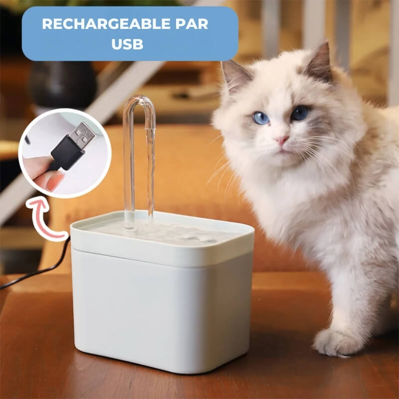Fontaine à Eau pour Chat avec Filtre Eauflow - Hydratation Animale et Santé Féline