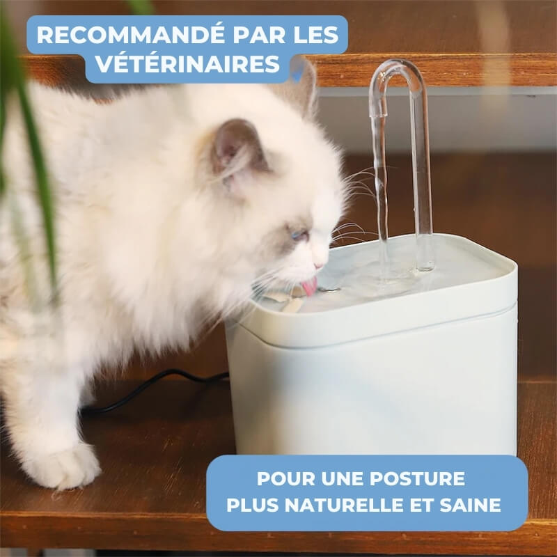 Fontaine à Eau pour Chat avec Filtre Eauflow - Hydratation Animale et Santé Féline