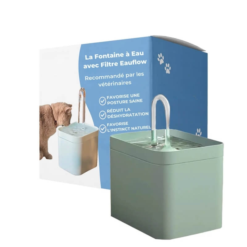 Fontaine à Eau pour Chat avec Filtre Eauflow - Turquoise, Bien-être Chat et Santé Féline