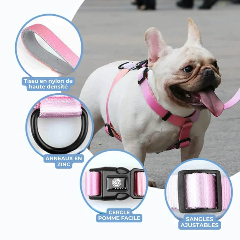 Harnais Anti-Traction pour Chien - Accessoire Confort Animal travel bottle le
