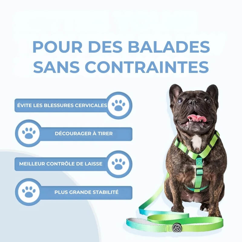Harnais Anti-Traction pour Chien - Accessoire Confort Animal travel bottle le