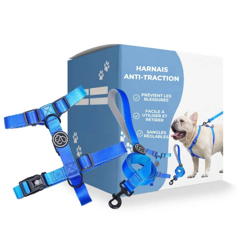 Harnais Anti-Traction pour Chien - Sécurité en Laisse en Bleu l