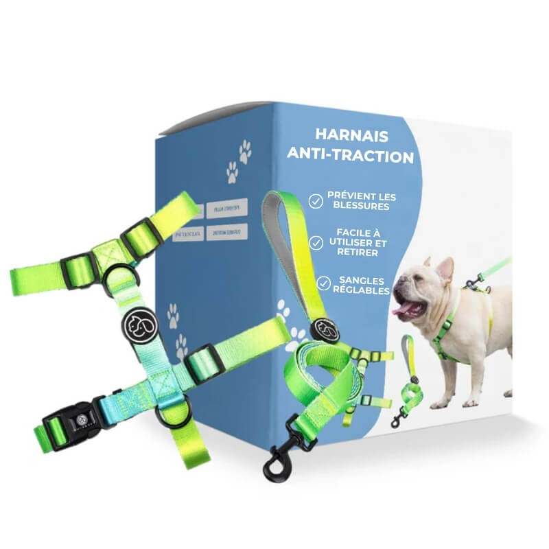 Harnais Anti-Traction pour Chien - Doux et Confortable en Vert