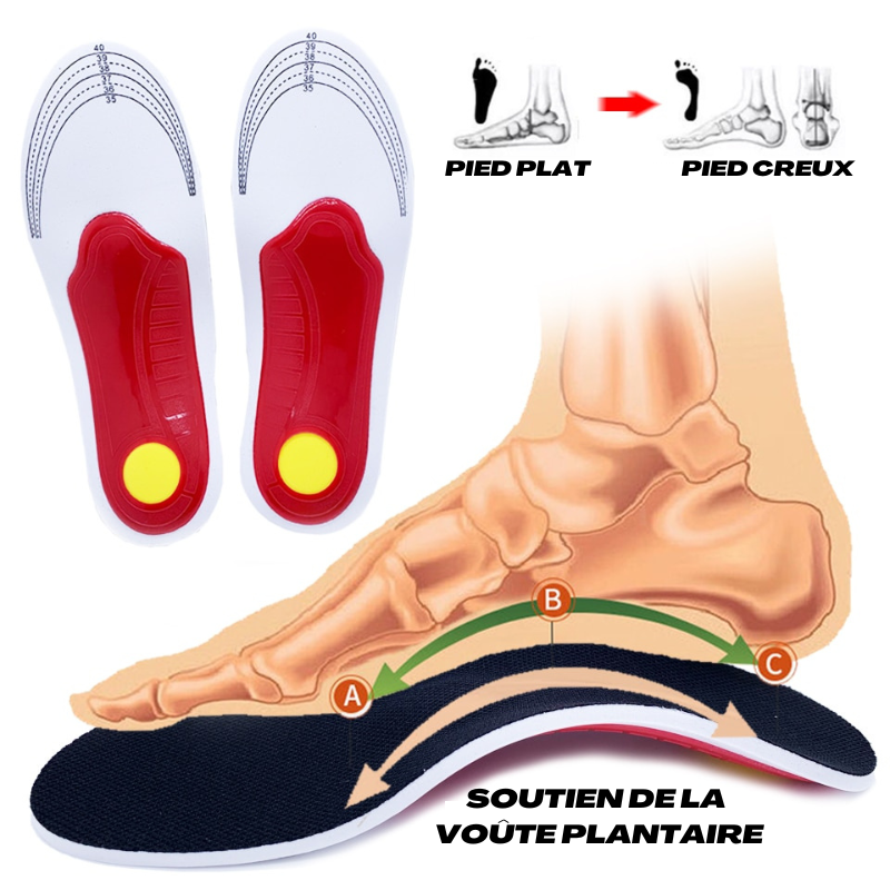 Semelles Orthopédiques - Rotation degrés, confort durable, soutien plantaire dog