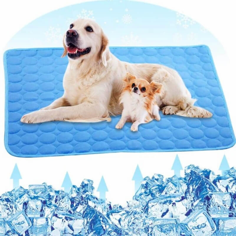 Tapis Rafraîchissant pour Chien - Confort Canin en Été Chaud | Léger et Portable